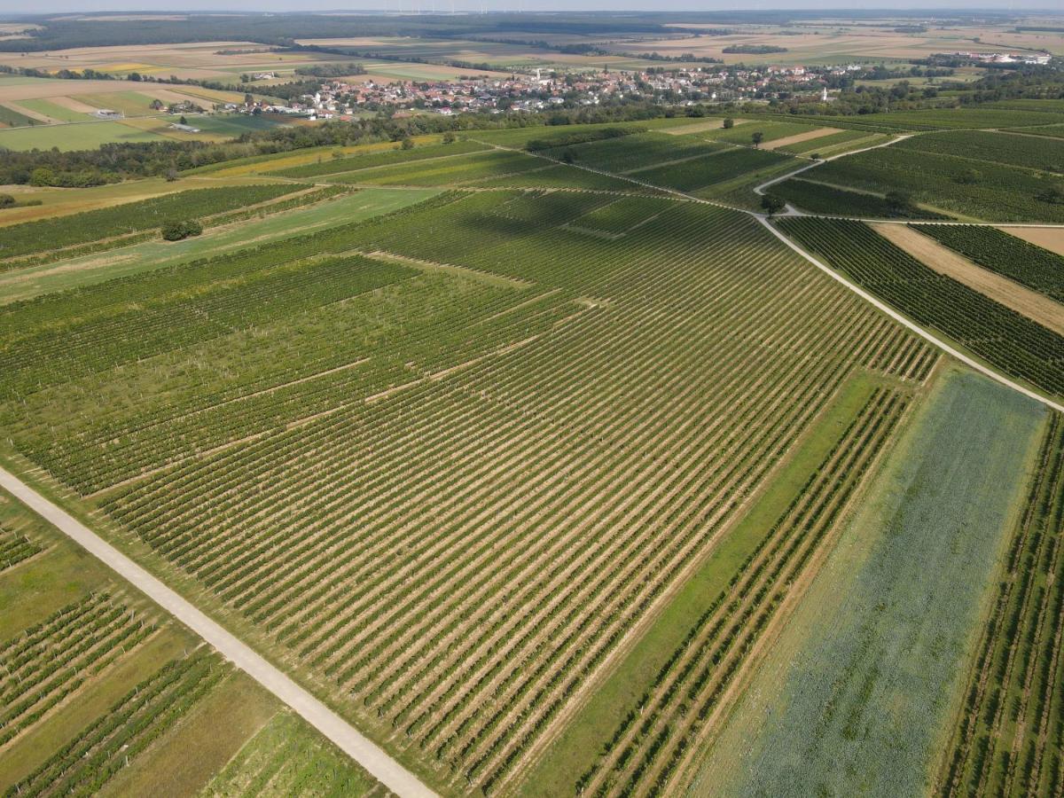 Pension Schloegl Lutzmannsburg Zewnętrze zdjęcie